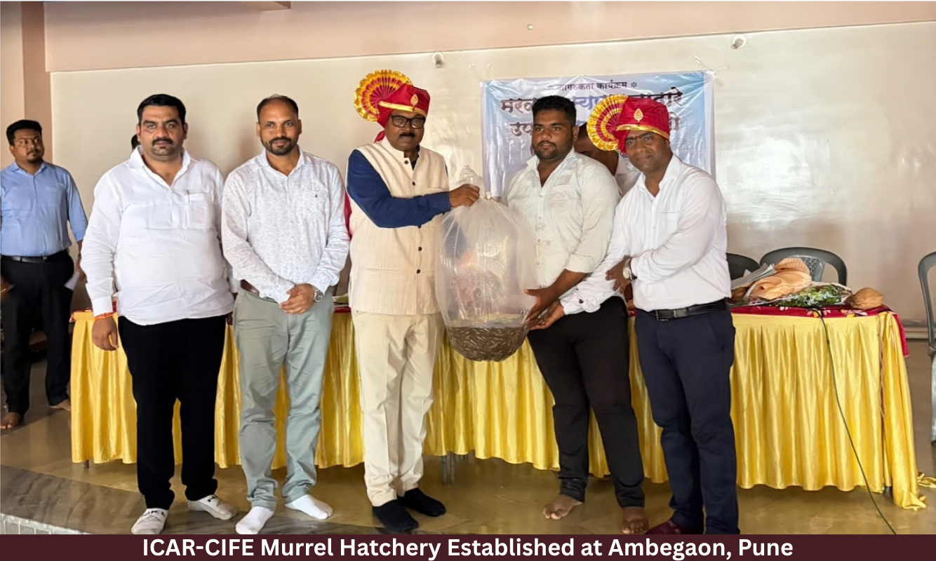 ICAR-CIFE Murrel Hatchery Established at Ambegaon, Pune