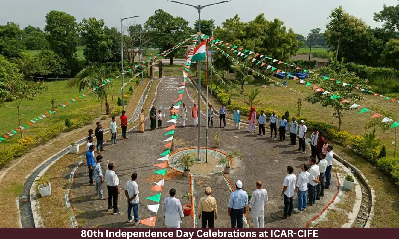 80th Independence Day Celebrations at ICAR-CIFE, Mumbai