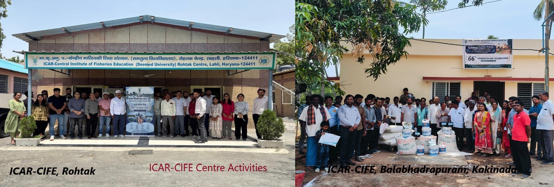 ICAR-CIFE केंद्रों की गतिविधियाँ