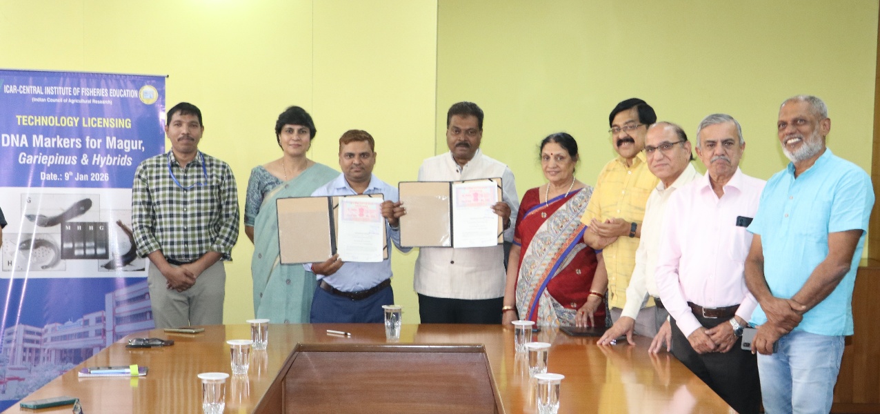 ICAR-CIFE ने Clarias magur, C. gariepinus और हाइब्रिड के लिए सिंगल-… की छवि