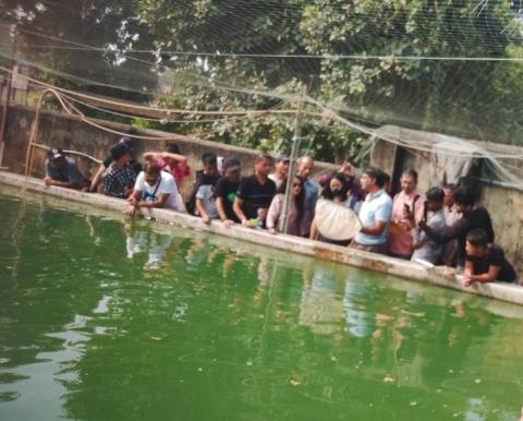 image of Farmers on Ornamental Fish Breeding and Culture image 1