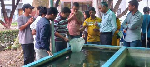 image of Farmers on Ornamental Fish Breeding and Culture image 3