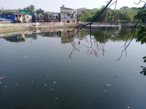 image of हरबादेवी सामुदायिक तालाब पर स्वच्छता श्रम दान image 1